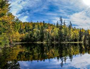 Bayerischer Wald