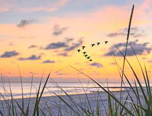 Ostsee